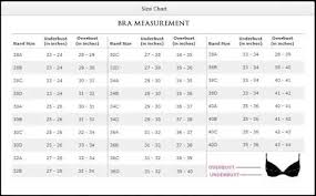 Can Someone Help Me With Finding My Bra Size My Bust Size