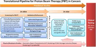 Maybe you would like to learn more about one of these? Toward A Variable Rbe For Proton Beam Therapy Radiotherapy And Oncology