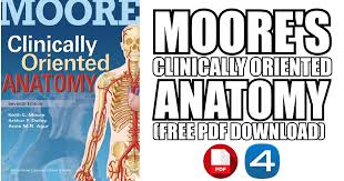 Coloring the musculoskeletal system and its physiology is the most effective way to study the structure and functions of our muscles and bones. Moore S Clinically Oriented Anatomy 7th Edition Pdf Free Download