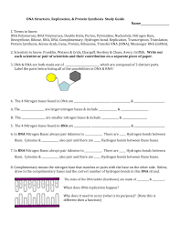 They learn about dna replication and protein . Dna Structure And Replication Review Worksheet