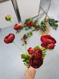 Pin By Michael Hu On Ranunculus Plants Ranunculus