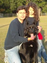 Maybe you would like to learn more about one of these? German Shepherd Dog Breed Pictures 2