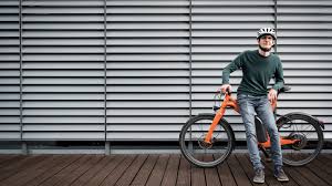 Elektrofahrrad Ich Fahre E Bike Ich Bin Eine Zumutung Zeit Online