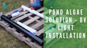 Pond Algae Solution Uv Light Installation Youtube