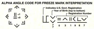 Decoding A Mustang Horse Brand Helpful Horse Hints