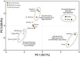 What is a granny pod? Foods Free Full Text Determination Of Post Harvest Biochemical Composition Enzymatic Activities And Oxidative Browning In 14 Apple Cultivars Html