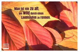 Man Ist Nie Zu Alt Um Wild Durch Einen Laubhaufen Zu Rennen Herbst Zitat
