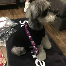 かわいいと美しいファッショナブルなchampionチャンピオン犬服 tシャツ 小中型犬 綿製 可愛い 猫犬 春夏秋冬用 保温服 可愛い 脱毛保護 犬 小型犬 ペット服