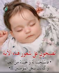 Hani Omar (hani90791)