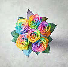 Check spelling or type a new query. Waitrose Unfurls Rainbow Rose For Valentine S Day Housewares