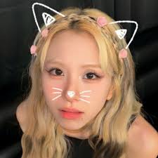 Amanda Barone (@amandabarone17)