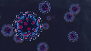 La variante delta plus se ha detectado de forma esporádica en maharashtra (oeste), kerala (sur) y madhya pradesh (centro), con unos 40 casos el virólogo destacó que es difícil evaluar la extensión de estas variantes del coronavirus en un país como la india, cuya capacidad para secuenciar el. Aiaeveidwpj3pm