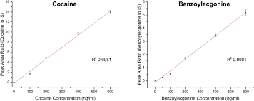 Calibration Curve For Cocaine M Z 304 And Benzoylecgonine M Z 290 Download Scientific Diagram
