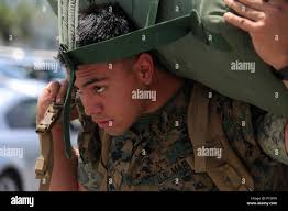 A rifleman with lima company hi-res stock photography and images