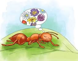 Kribbel Krabbel Ameise Ein Kniereiter Oder Wickelspiel Fur Die Kleinsten Die Ein Fur Kleinsten Knier Kindergarten Property And Casualty Tsunami Waves