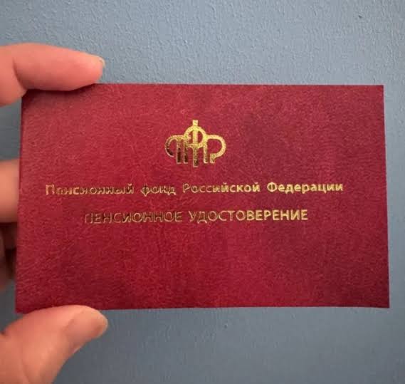 https://encrypted-tbn0.gstatic.com/images?q=tbn:ANd9GcQxEShgwqhyycWkJ-BNQu13HxUfoD9cfCR0OWplyT057UlmuePUjbOxWvI&s=10