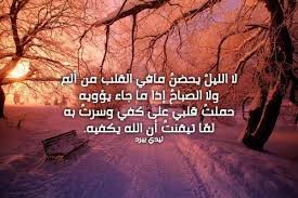 قصائد عن الشتاء ليدي بيرد Alaylalayl