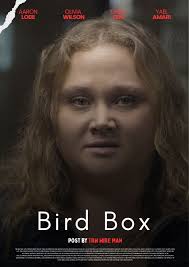 If you've never watched Bird box and don't mind being scared ......