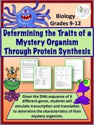 Biology Group Chat Names Protein Synthesis And Translation Activity Teaching Biology Biology Classroom Teaching Science
