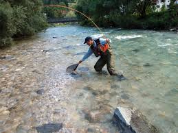 Maybe you would like to learn more about one of these? Fishing Resorts