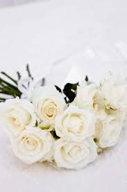 I'm going to die. i wasn't expecting what he pulled out of his coat. The Best Colors Of Roses For A Death Ehow