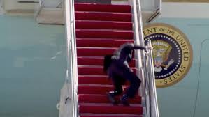 Image result for Bidens steppia