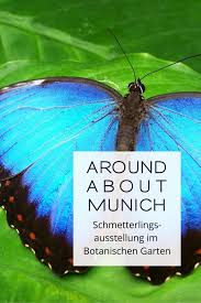 Schmetterlingsausstellung Im Botanischen Garten Munchen In 2020 Botanischer Garten Munchen Munchen Kultur Botanischer Garten