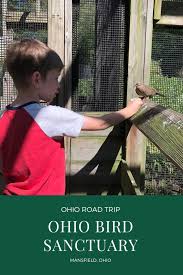 The Ohio Bird Sanctuary Is A Hidden Gem In Mansfield Ohio Ohio Birds Ohio Travel Family Friendly Travel