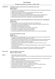 Manager of patient financial services new. Finance Business Manager Resume Samples Velvet Jobs