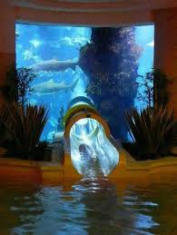 Water Slide At Atlantis Water Park In Dubai Water Slides Cool Pools Pool Designs