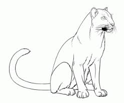 Puma, cougar portrait isolated on black background wall mural. How To Draw Panthers Black Panthers Step By Step Rainforest Animals Animals Free Onlin Black Panther Drawing Black Panther Animal Drawing Panther Drawings