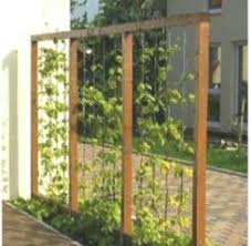 Drahtrahmen Mit Hopfen Gartenideendekoration Ga In 2020 Modern Landscape Design Outdoor Outdoor Structures