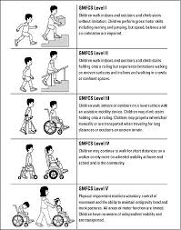 The Gross Motor Function Classification System Gmfcs