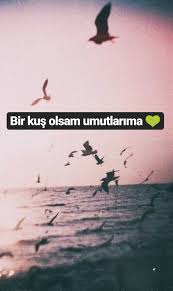 Bir Kus Olsam Umutlarima Filmmuzikkitaplar Edebiyat Story Hikaye Fake Ozel Film Muzik Kitaplar Edebiyat Guzel Soz