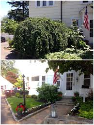 Before And After Updated Front Landscaping Painted White Removed Overgrown Plants Planted Boxwoods Azaleas Front Yard Front Landscaping Landscape Design