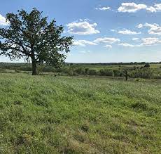 The site is located southwest of the primary development area in galveston, near the southwestern end of the island, on the northern side of the fm 3005, near west galveston bay (the bay frontage has been sold). Texas Acres Rural Land For Sale In Texas