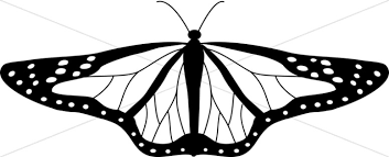 Coloring pages caterpillars cartoon two butterflies clipart black. Cute Black And White Butterfly Butterfly Clipart
