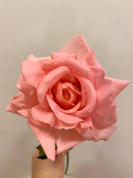 Cheap artificial & dried flowers, buy quality home & garden directly from china suppliers:navy blue picasso calla lilies real if you received our goods and feel the goods color have a litter different with real goods that is normal,because differences in color may be caused by some other reasons such as. Real Touch Salmon Pink Large Rose Golden Touch Flowers