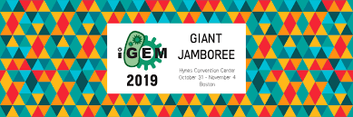 Relax and unwind in some of the finest spa days and wellness experiences in nha trang. Giant Jamboree Abstracts 2019 Igem Org