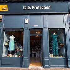 Cats Protection Shawlands Home Facebook