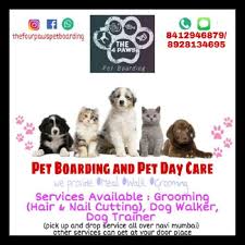 The resort at paws up is where families and couples make lasting memories. Pet Daycare In Navi Mumbai Navi Mumbai The Four Paws Pet Boarding Petbacker Maharashtra