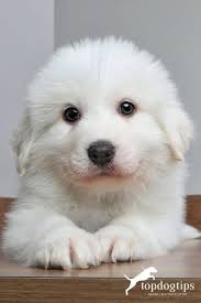 JUST SAY HI ! SO WE KNOW YOU ARE STILL AKTIVE IN THIS GROUP 🧡🥰