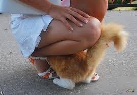 images?q=tbn:ANd9GcQxF8s3esQ6J4mlet7Mdjyrdo6SQm_0Jy_w62Mb3ctMi2qGDZ1W