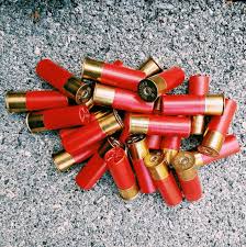 Understanding Different 12-Gauge Shotgun Load Types - Wideners Shooting,  Hunting & Gun Blog