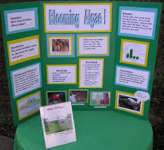 Biology Science Fair Projects For 10th Grade How To Make A Great Science Fair Board Science Fair Projects Boards Science Fair Board Science Fair Projects