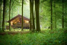 View tripadvisor's 844 unbiased reviews and great deals on cottages in enniskillen, northern ireland Where To Stay In The Forest Huts Treehouses Log Cabins And Lodges Weekend The Times