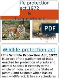 The wildlife (protection) act, 1972 (last amended in 2006) the wildlife (protection) act (wlpa), 1972 is an important statute that provides a powerful legal framework for: Wild Life Protection Act 1972 Ppt Wildlife Hunting