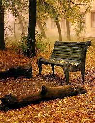 Stunning Views Sit And Think In Autumn Park Bench Old Benches Nature Wallpaper