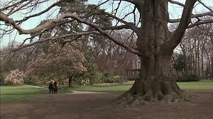 Joy - 1983 (Remastered)