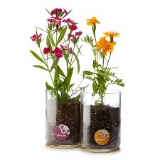 Mother's day will incomplete without the cheerful and thoughtful bouquet of flowers. 44 Best Mother In Law Gift Ideas Presents For Mother In Law